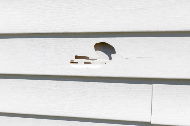 Best Hoarding Cleanup  in Point Baker, FL